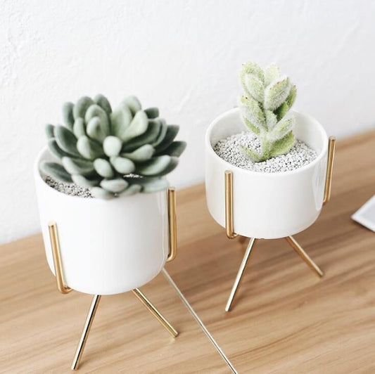 Tabletop Ceramic Planter with Metal Legs