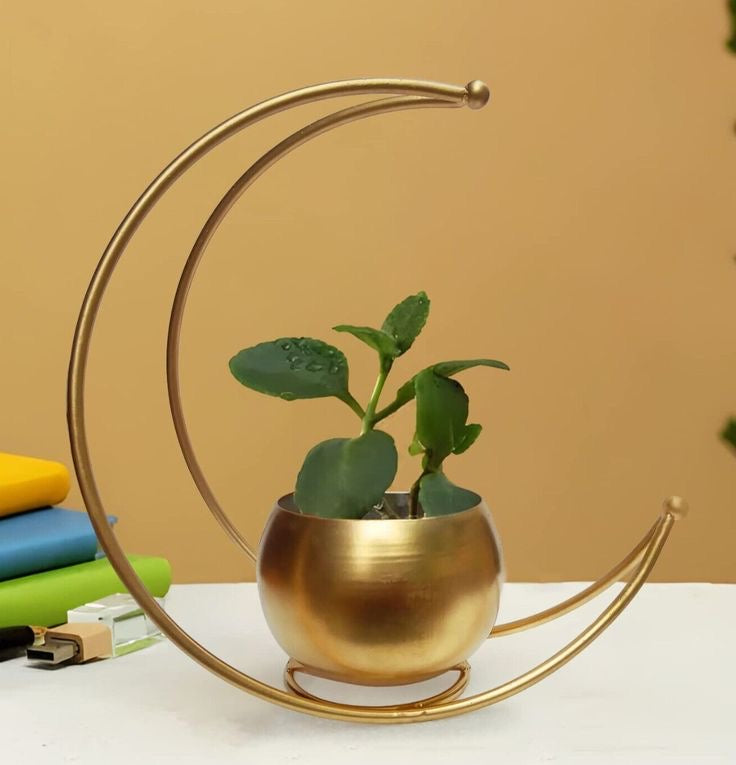 Gold Crescent Shaped Planter