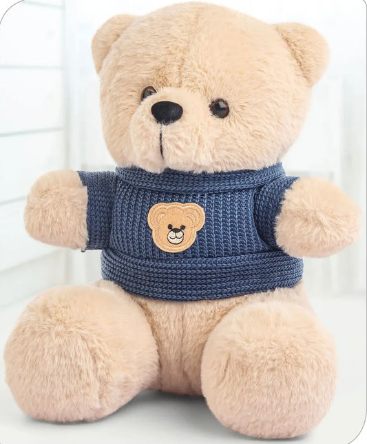 Soft Plush Teddy Bear With Sweater