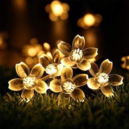 Exclusive Cherry Blossom Flowers String Light