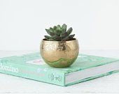 Small Gold Indoor Planters - Set of 2