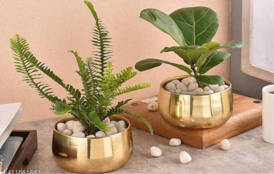 Gold Metal Planters - Set of 2