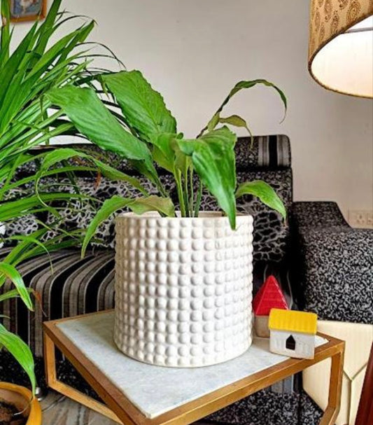 Bubble Knobbed White Vase/Planter