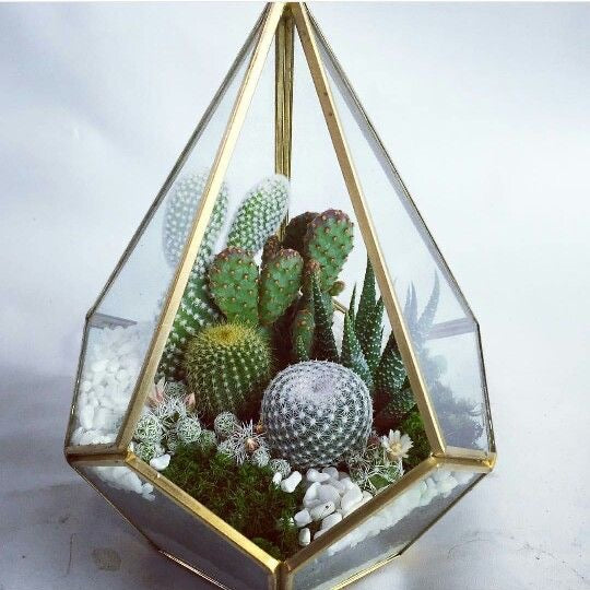 Antique Brass Terrarium - Gold