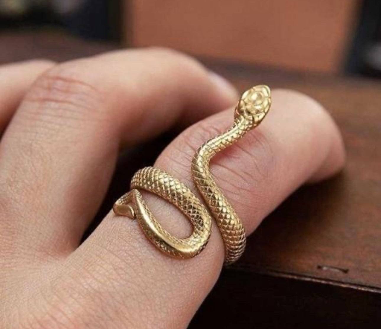 Oxidised Snake Ring