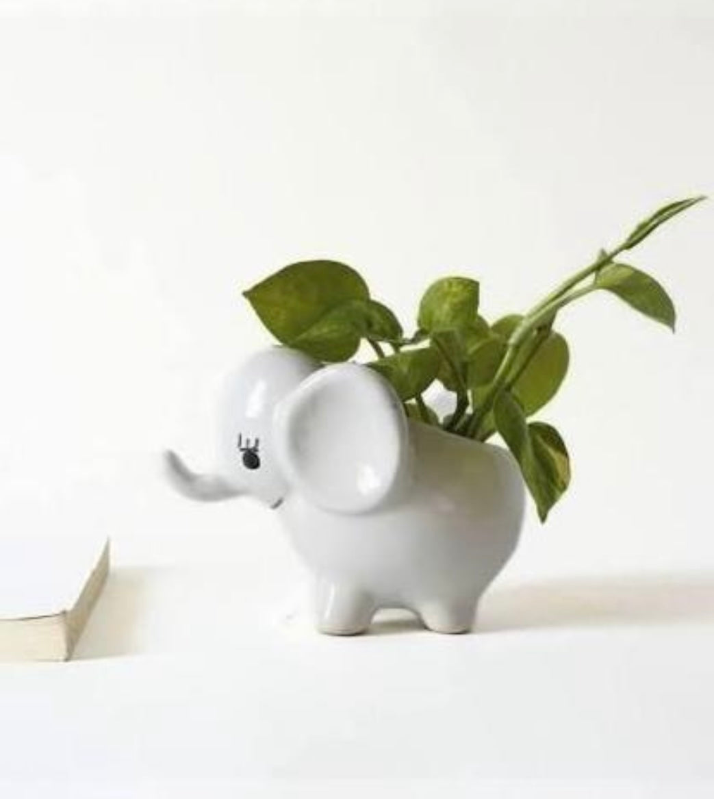 Cute elephant shaped planter