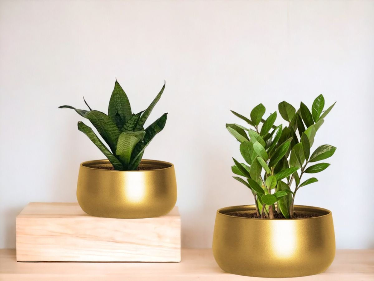 Gold Metal Planters - Set of 2