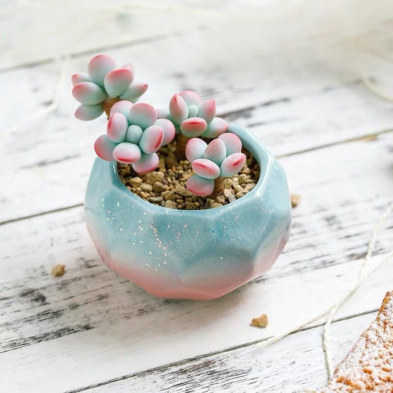 Small Indoor Planter