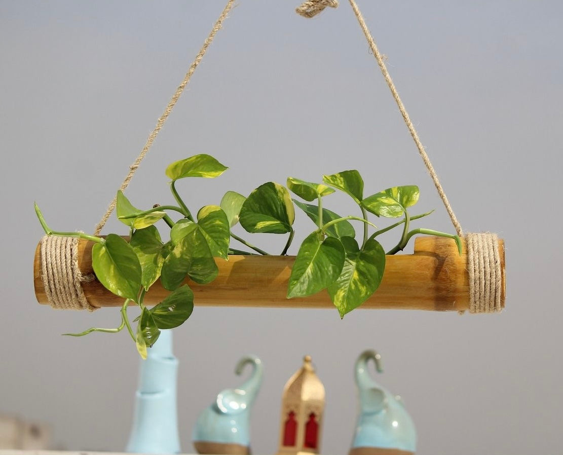 Hanging Bamboo Planter