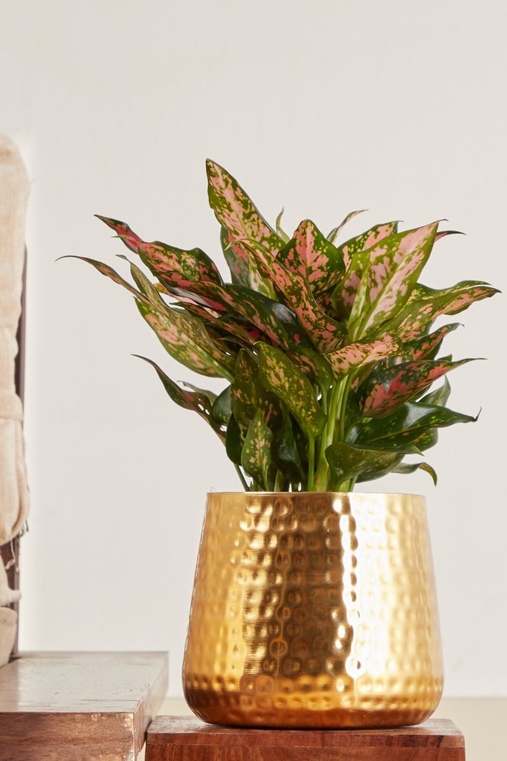 Decorative Hammered Gold Indoor Planter