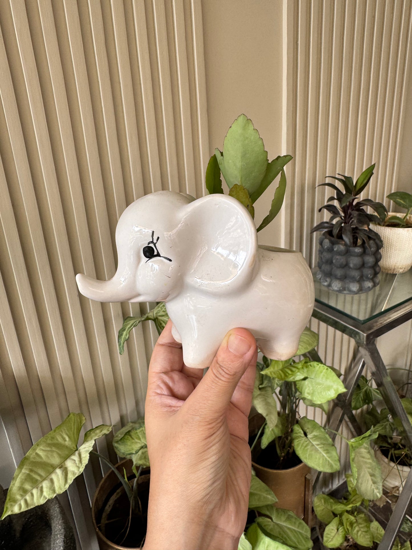 Cute Elephant Planter