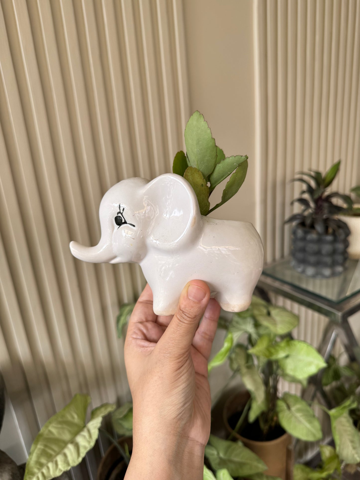 Cute Elephant Planter