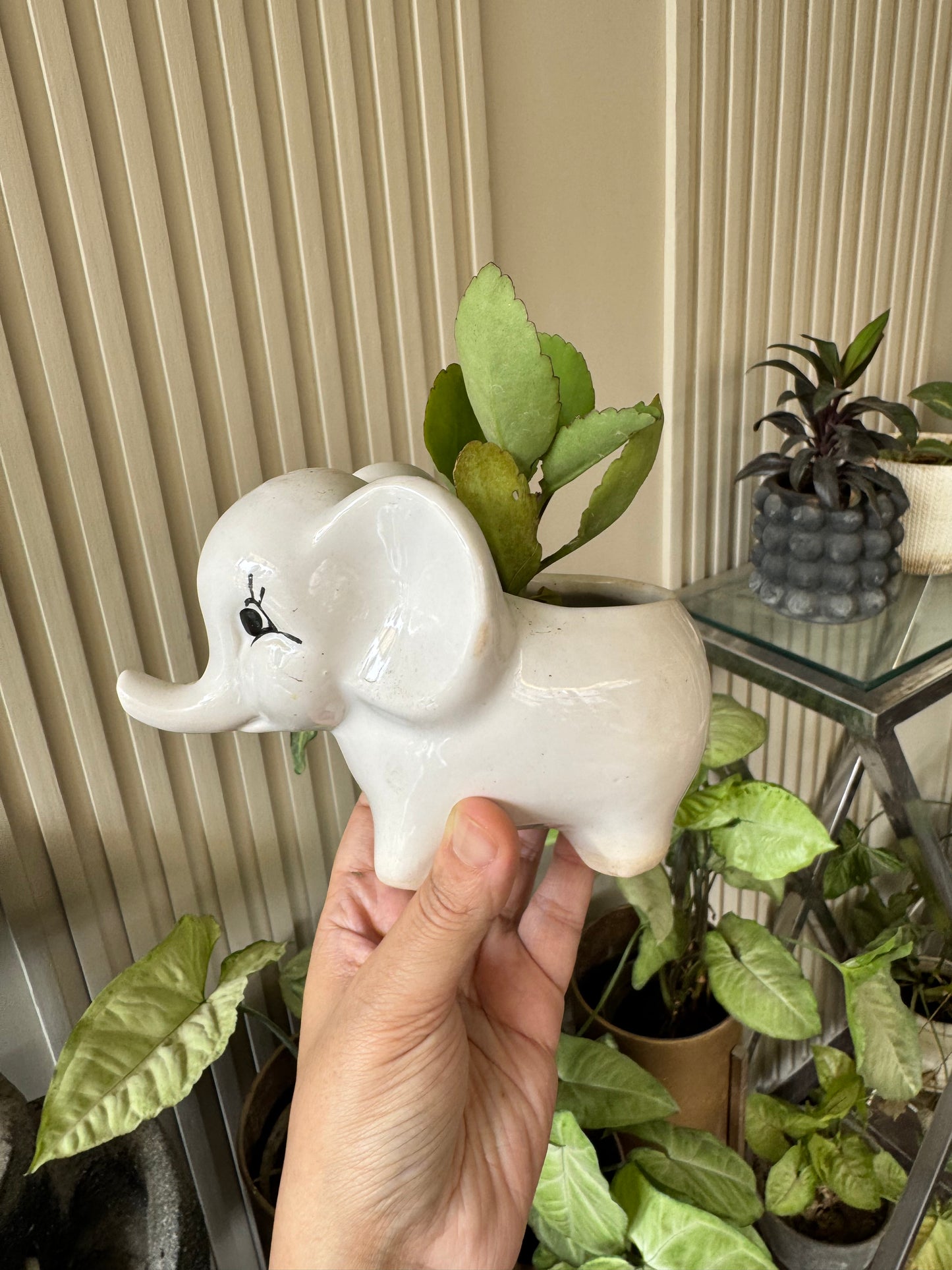 Cute Elephant Planter