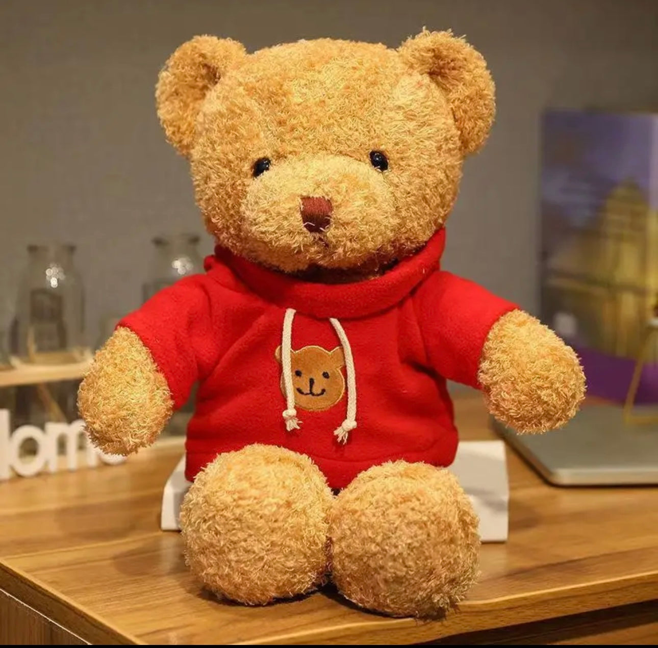 Cutest Huggable Plush Teddy With Hoodie