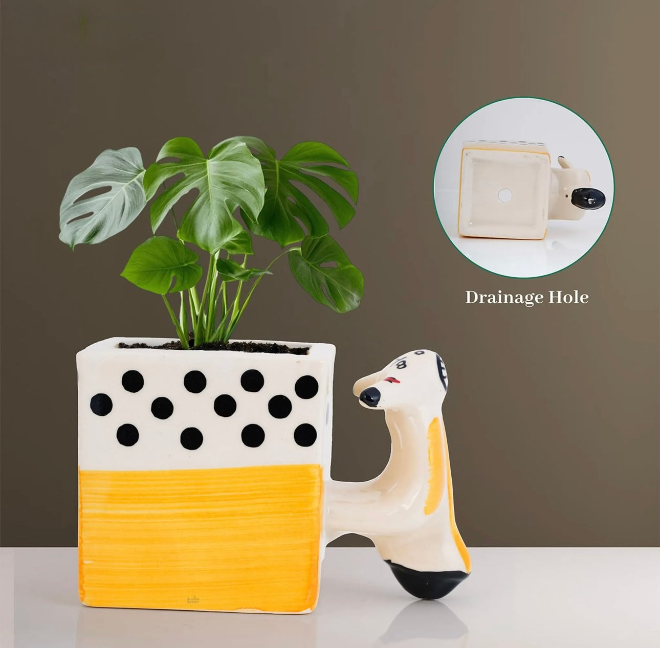 Decorative Scooter Shape Quirky Planter