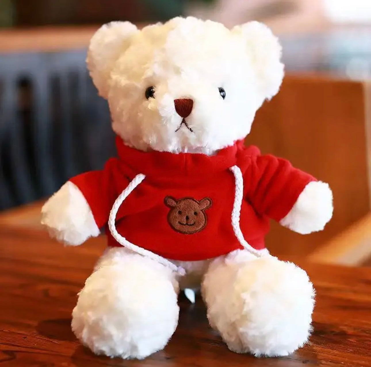 Cutest Huggable Plush Teddy With Hoodie