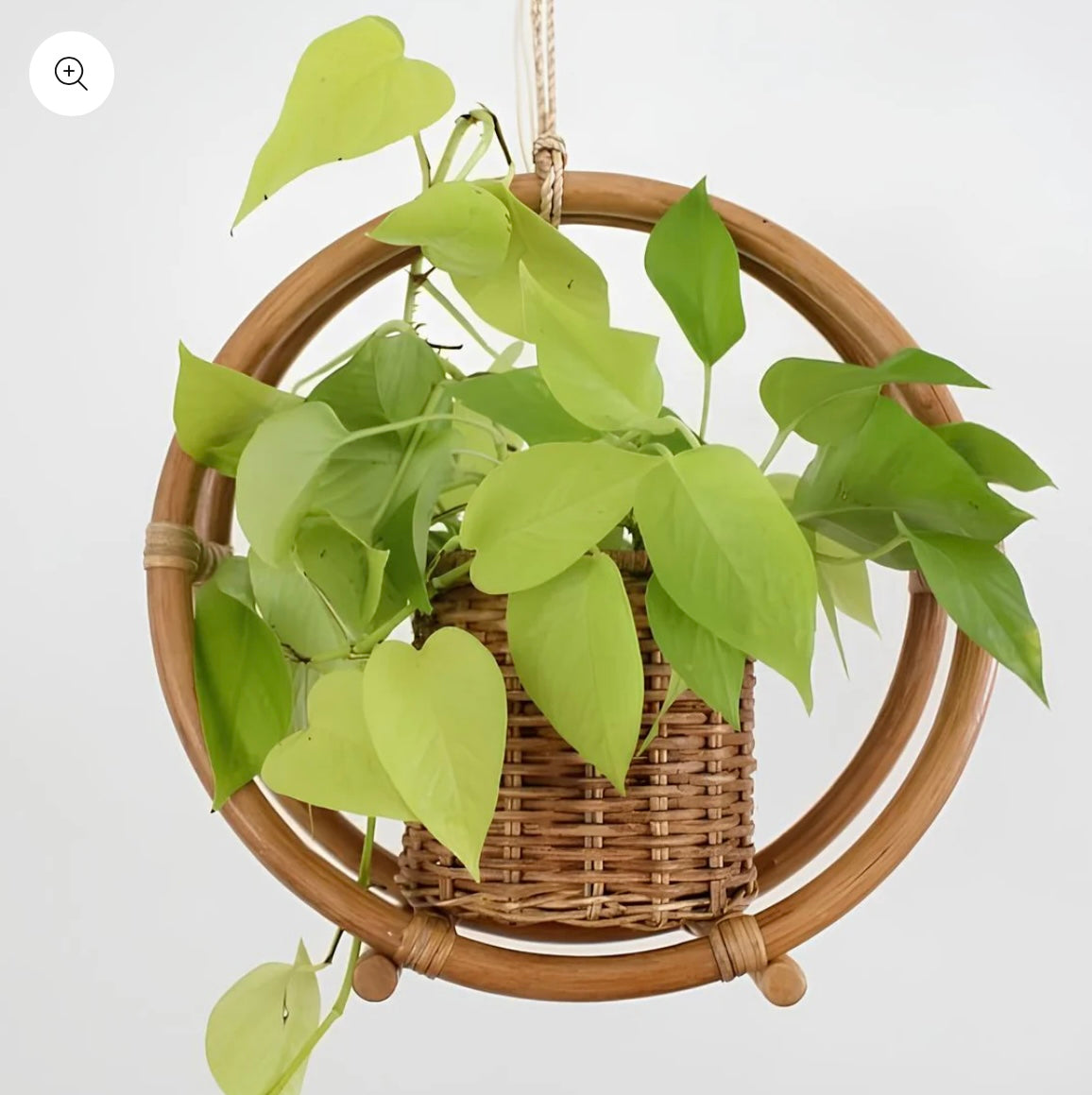 Bamboo Rattan Hanging Planter