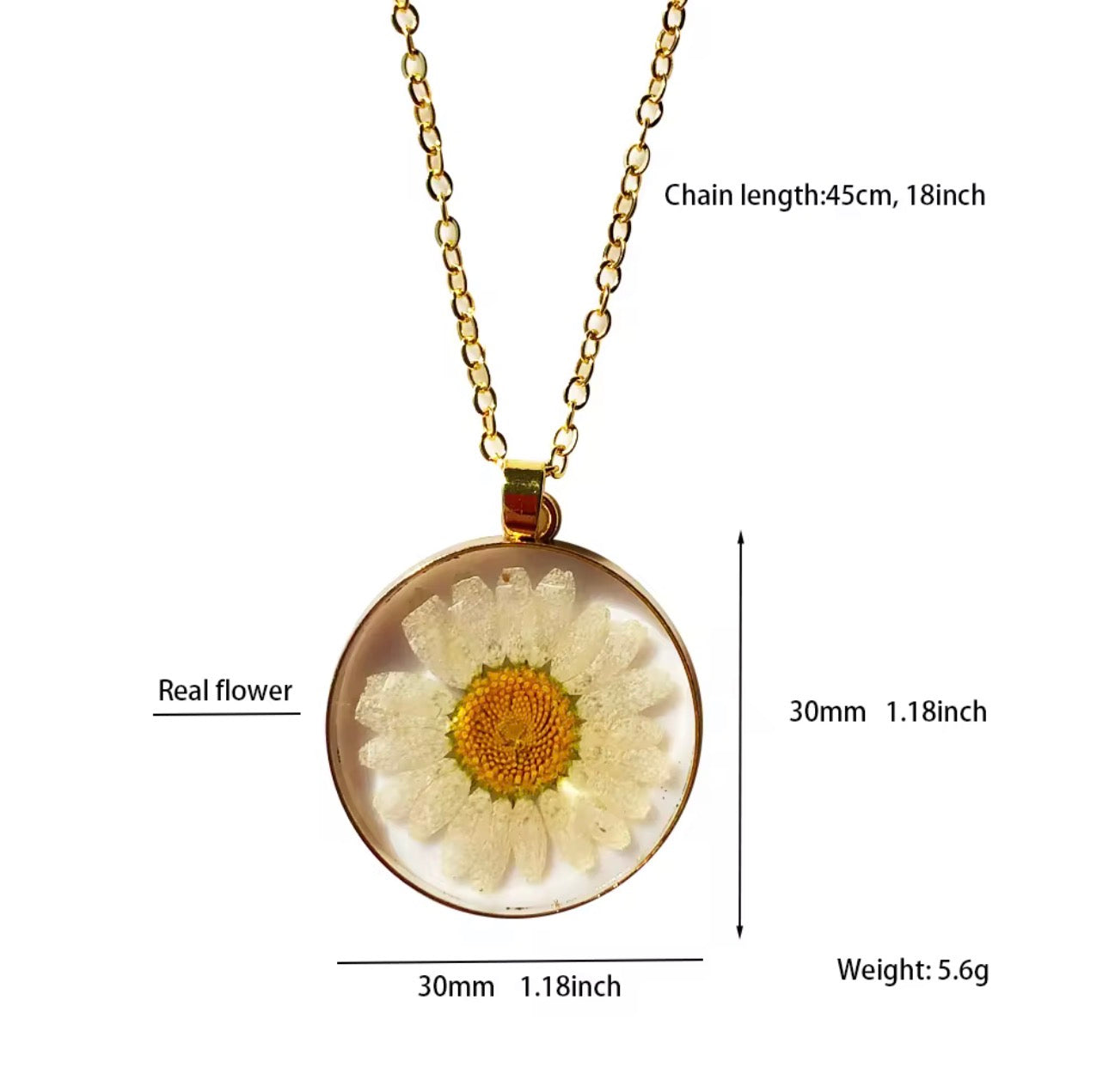 Pendants with Real Pressed Daisy Flower