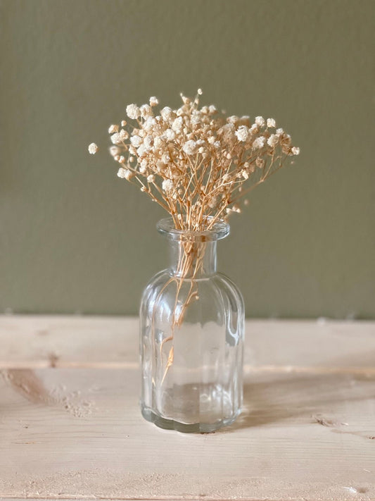 Mini Vase with Dried Baby’s Breath Flowers