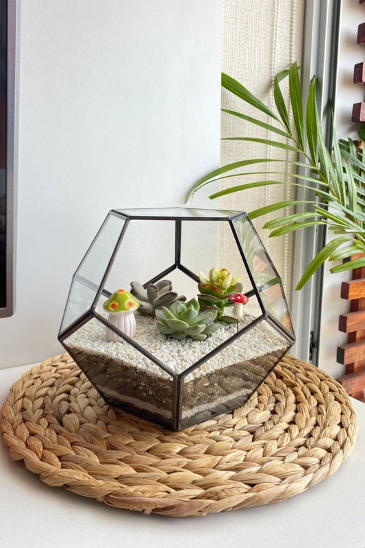 Geometric Table Top Glass Terrarium