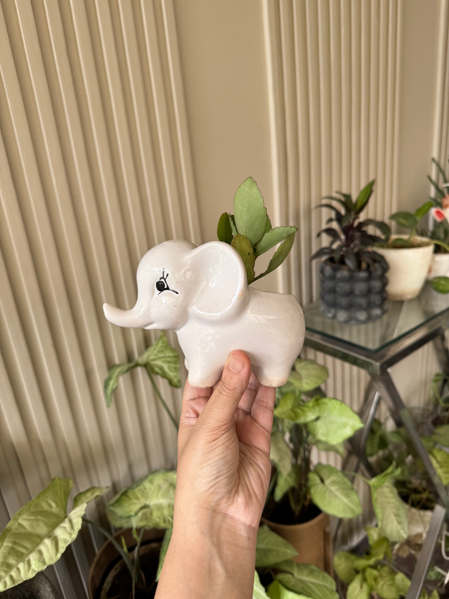 Cute Elephant Planter