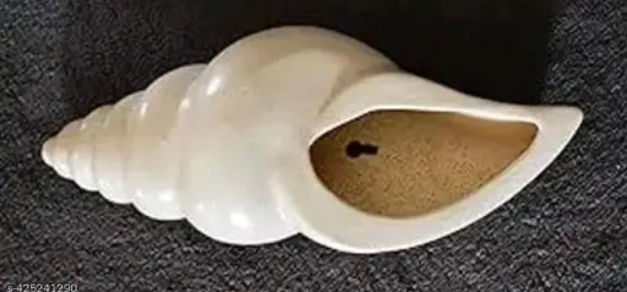 Ceramic Decorative Wall Hanging Shell Conch Planter