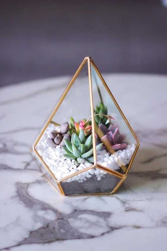 Antique Brass Terrarium - Gold