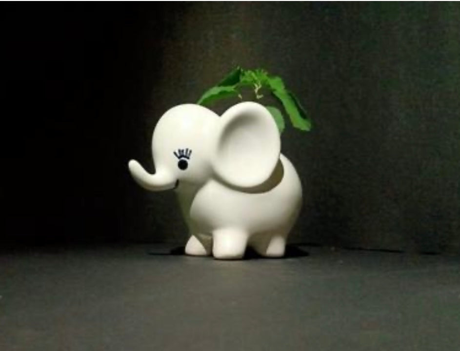 Cute elephant shaped planter