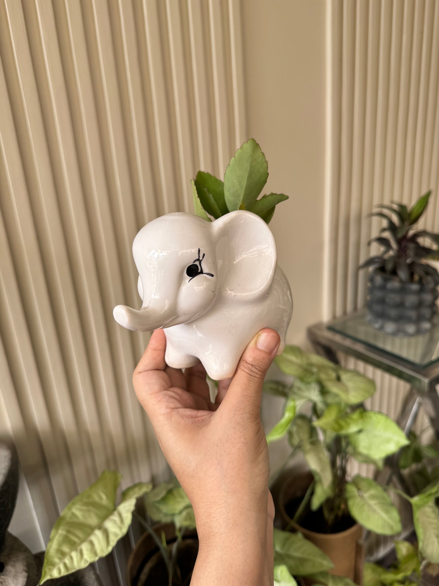 Cute Elephant Planter