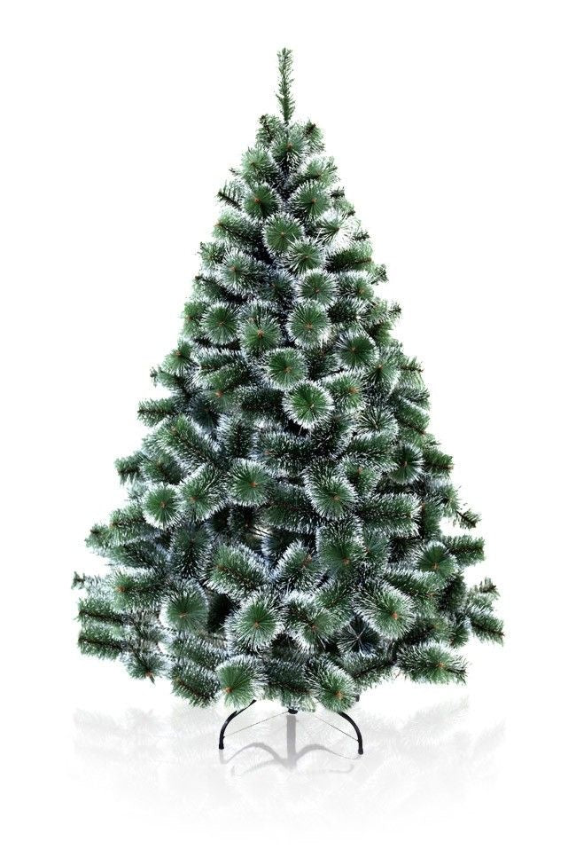 Large Pine Christmas Tree