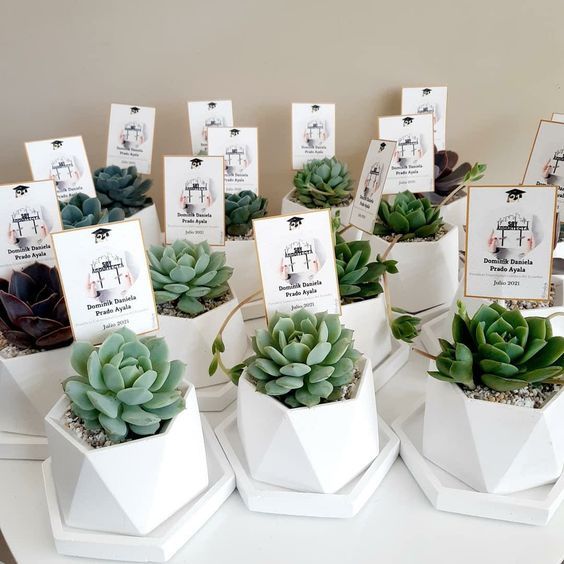 Plants Return Gifts/Favours