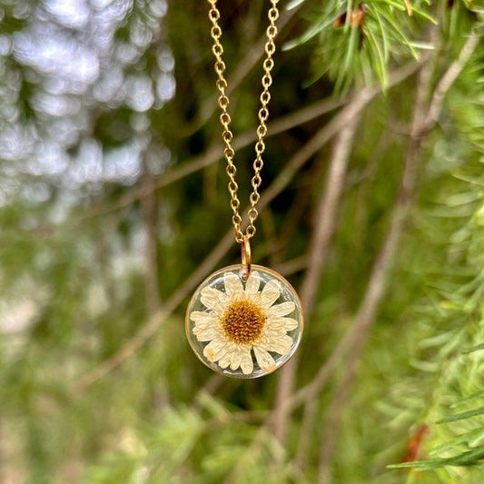 Pendants with Real Pressed Daisy Flower